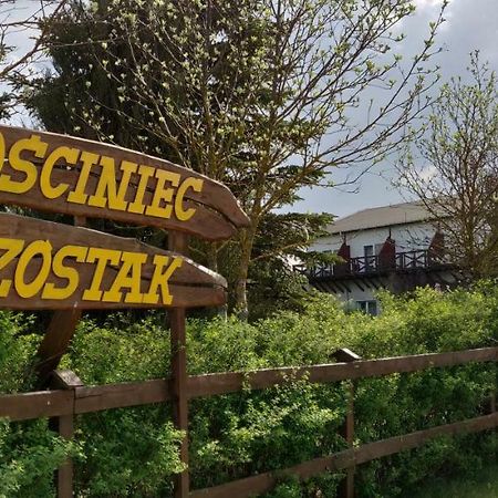 Czarnowka Gosciniec Szostakヴィラ エクステリア 写真