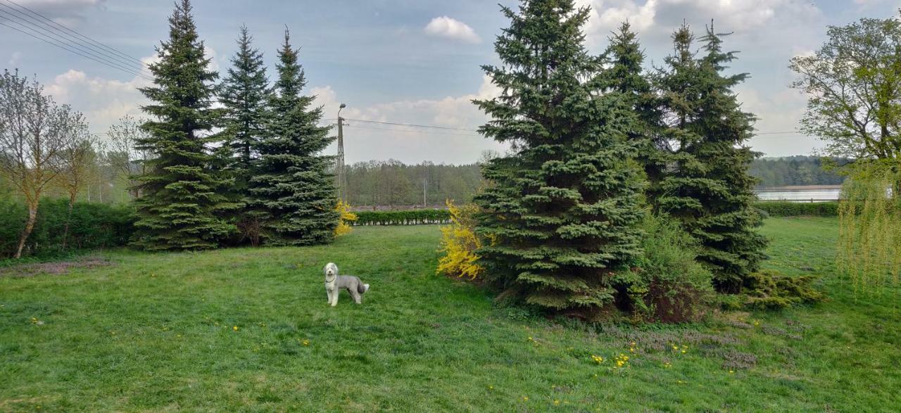 Czarnowka Gosciniec Szostakヴィラ エクステリア 写真